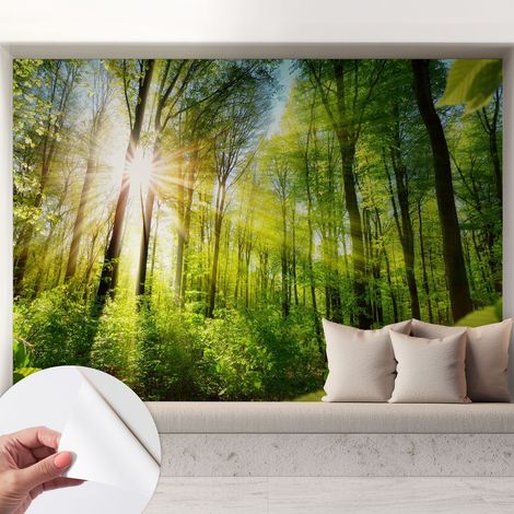 Papier peint adhésif autocollant pour salon chambre à coucher peint imprimé Installation facile Lumière de la forêt 208x146 cm (1/5)