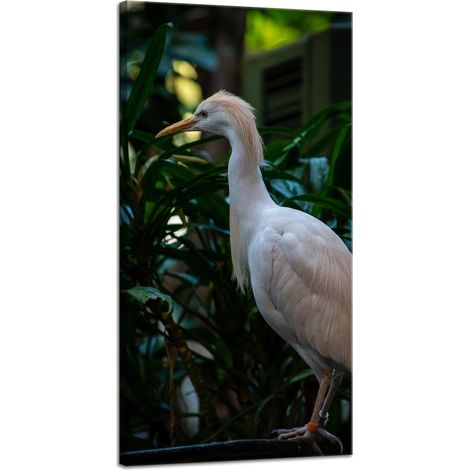 Impression sur toile Animaux Aigrette Bœuf 40x80 cm