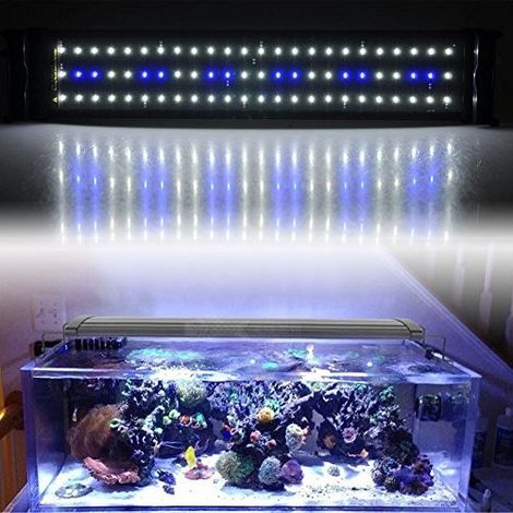 TrAdE Shop Traesio - Lampada Plafoniera A Led Per Acquari A Bordo Vasca Regolabile Luce Bianca + Blu - -led450 -
