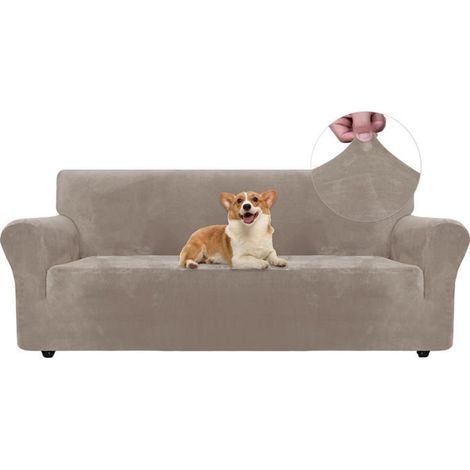 1 Housse de canapé, Velours, Extensible, Antidérapant, Protection animaux, 3 places (1/5)