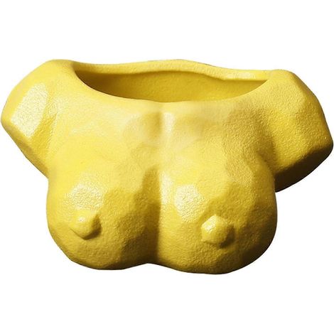 Pot de fleurs abstrait blanc pour plantes de jardin, cactus et succulentes-Yellow