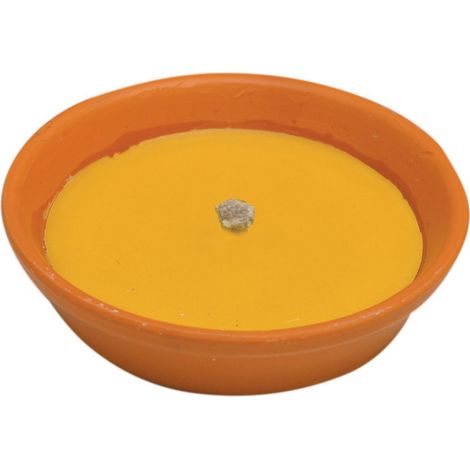 1PZ CITRONELLA IN COCCIO ANTIVENTO D 11 CM
