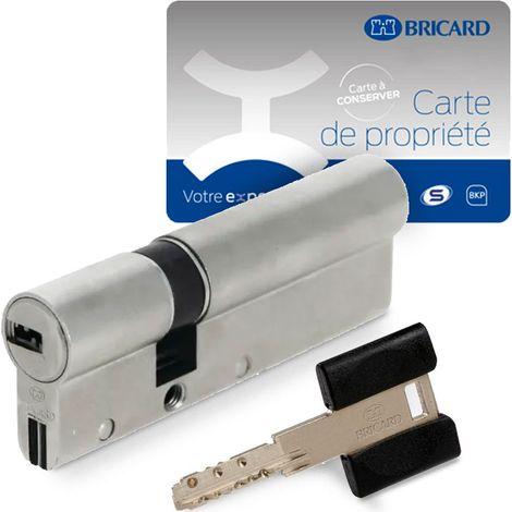 Cylindre serrure européen double entrée 70 x 30 mm debrayable 4 clés Dual XP A2P 1 BRICARD (1/4)