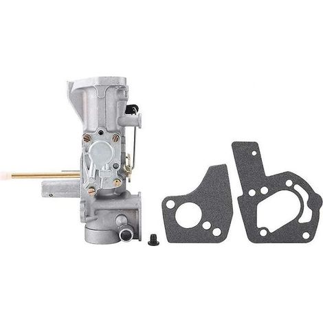 Pièces de rechange pour carburateur 498298 130202 112202 112232 134202 137202 pour moteur 5 CV (1/5)