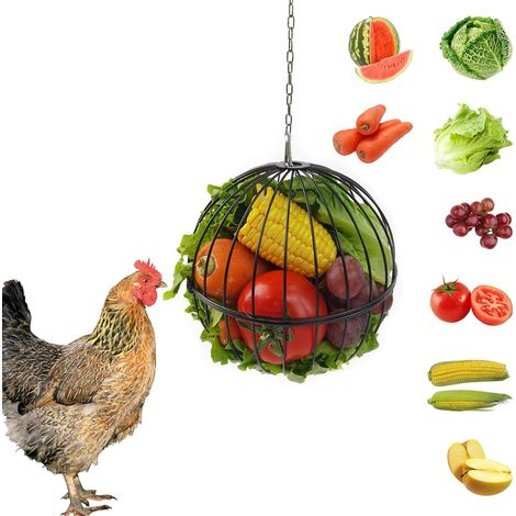 Boule mangeoire suspendue pour poules - Construction en fer de 18 cm - Chaîne de suspension de 40 cm - Noire - Mangeoire à légumes pour poules (1/5)