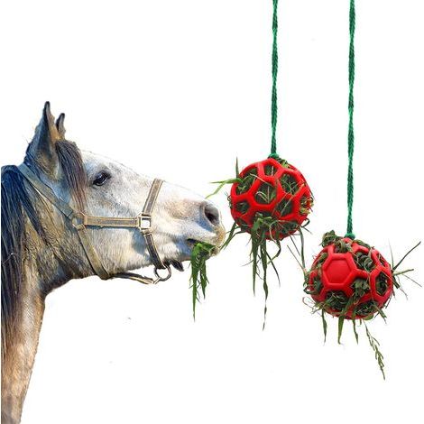 Lot de 2 balles à friandises pour Cheval, chèvre, Mouton, Jouet d'alimentation à Suspendre pour soulager Le Stress