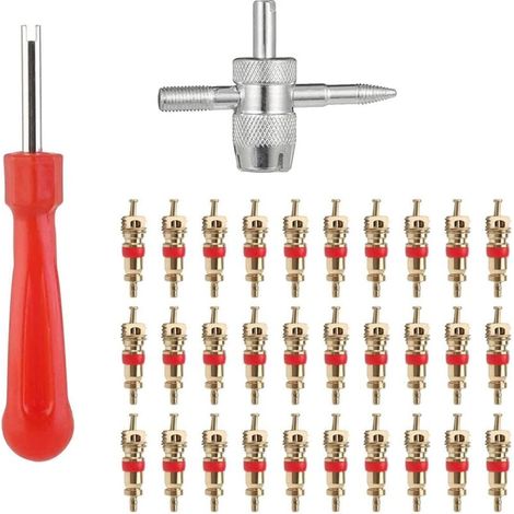 Démonte-pneus pneumatique pour valves de pneus – Kit complet de 32 pièces comprenant 30 valves de rechange pour vélos et voitures, outils de réparation professionnels