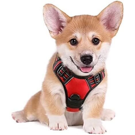 VtiziklHarnais Chien S Arnais Rouge Anti Traction Réfléchissant Gilet Réglable pour Chien, Attache Devant Crochet de Laisse pour Randonnée Trajet Voiture, Bouledogue Français, Berger Australien-Ensole