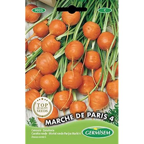 graines Carotte ronde MARCHE DE PARIS 4 (1/2)