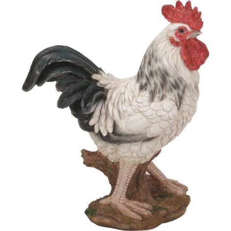 Coq PM blanc 30 cm (1/2)