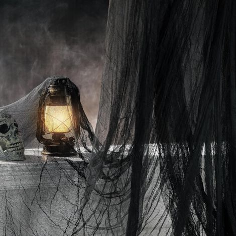 500 x 200 cm – Halloween-Gazestoffe, gruselige Halloween-Dekoration für drinnen und draußen, gruselige Halloween-Dekoration für Spukhaus-Party, Tür, Hausparty, Garten, drinnen und draußen (1/5)