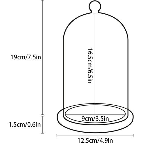 Cloche en verre décorative avec socle bambou - Dome de préservation pour fleurs, décorations et collections précieuse - H: 20.5cm, diamètre: 12.5cm (1/5)