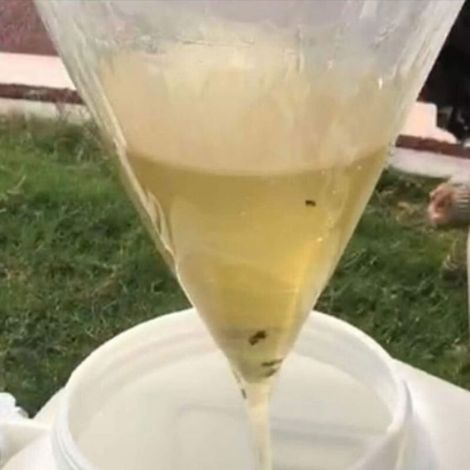 Filtre à miel conique 2 pièces – Extraction facile et filtration efficace du miel (1/5)