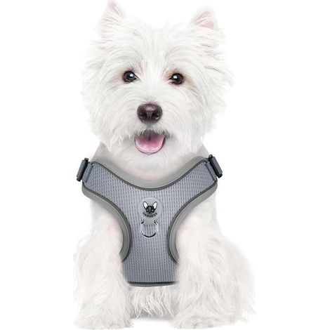 Hundegeschirr mit Leine zum Spazierengehen, reflektierend, verstellbar, weich, Größe L, Grau