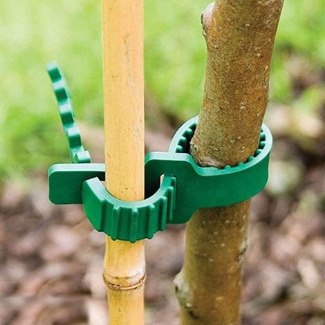 Lot de 10 attaches pour tuteurs d'arbres, robustes et réglables, réutilisables, 24 cm (vert), taille unique. (1/5)