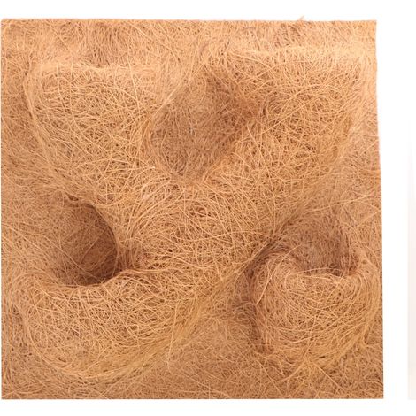 Terrario CocoBackground 40x40 - sfondo con noci di cocco (1/5)