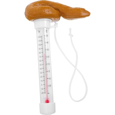 Witziges schwimmendes Poop Pool Thermometer Präzise (1/5)