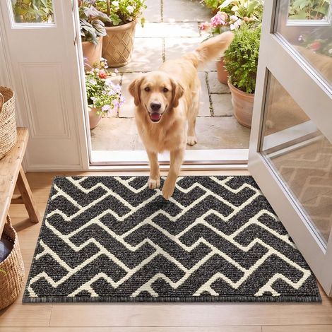 Paillasson d'intérieur absorbant avec envers antidérapant, pour entrée, cuisine, porte avant et arrière, pour animaux domestiques et jardin, 50 x 80 cm (noir) (1/5)