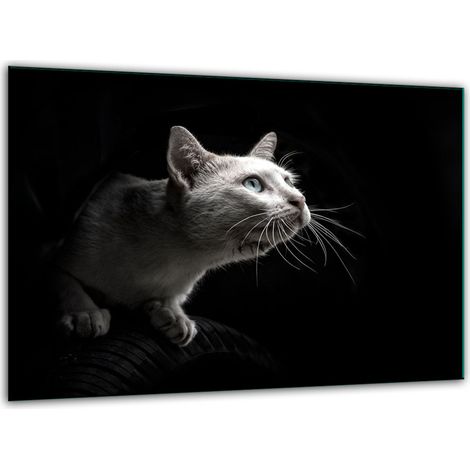Tagliere di vetro temperato 30x22 gatto (1/5)