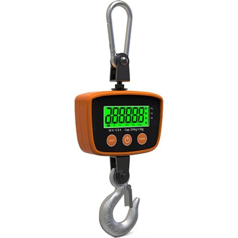 Balance Numérique de Grue Industrielle, Balance Suspendue Robuste avec Crochet Suspendu, Outil de Pesée pour Ferme, Pêche 300kg 50g (1/5)