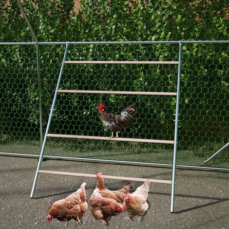Posatoio per galline, facile montaggio, per riposo e movimento naturale, metallo grigio (1/5)
