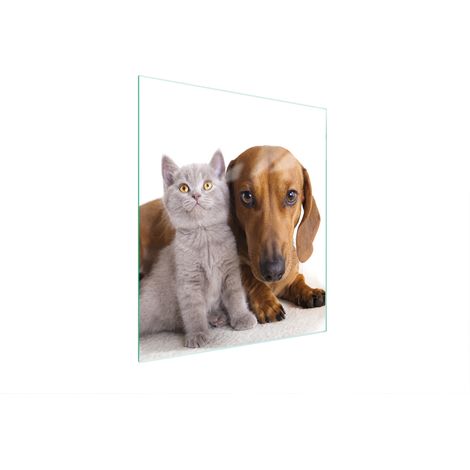 Glasschneidebrett 45x52 Tiere (1/5)