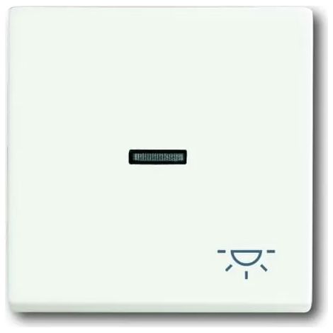 Busch-Jaeger Wippe stws mt mit Symbol Licht 1789 LI-884 (1/2)