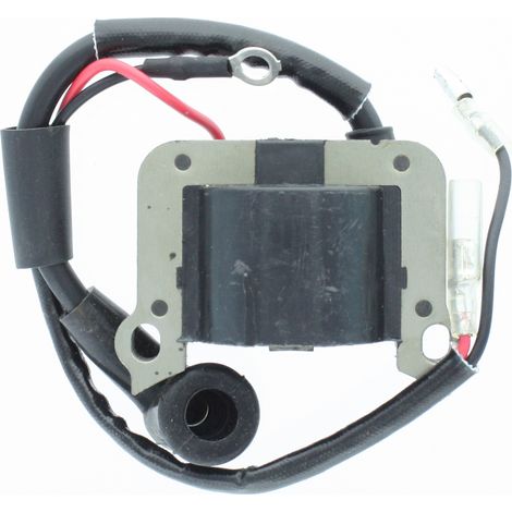 J-SKY 30 FIG.30 BOBINA ELETTRICA- JET-SKY- 1,0 pz