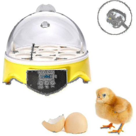 Incubateur automatique pour 7 œufs avec contrôle de la température, incubateur pour poussins, pour l'incubation à domicile et l'élevage de volailles contrôlé.-AquaForge (1/3)