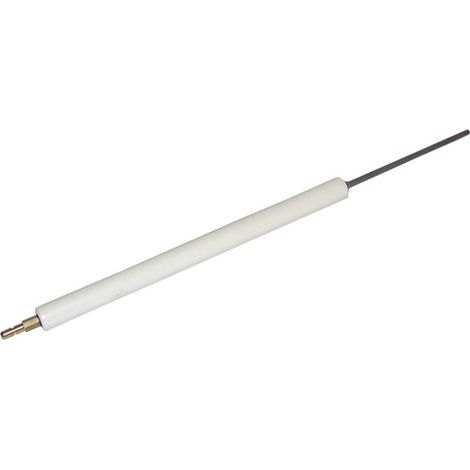 Electrodo ionización GS20/20D - RIELLO : 3006709