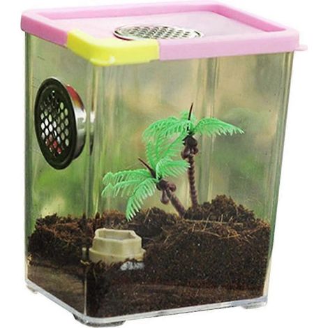 Terrarium en acrylique transparent pour reptiles (araignées, scorpions, mille-pattes, grenouilles cornues, coléoptères) (1/5)