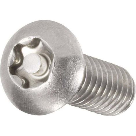 Vis à tête bombée M6 25 mm profil en Torx avec téton acier inoxydable A2 10 pc(s) (1/2)