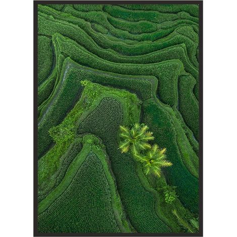 Bildplakat im Rahmen 43x33 cm Bali P1146 (1/4)