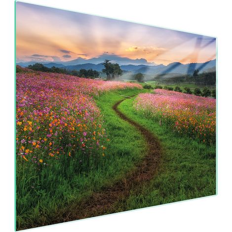 TAGLIERE IN VETRO 52x40 TOP (1/5)