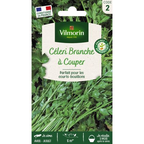 Céleri Branche à Couper Vilmorin (1/2)