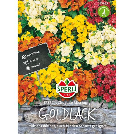 Sperli Goldlack SPERLI´s Chubado Mischung - Blumensamen (1/4)