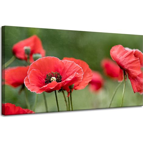 Leinwanddruck Botanik Rote Mohnblumen 120x60 cm Blumen Flora