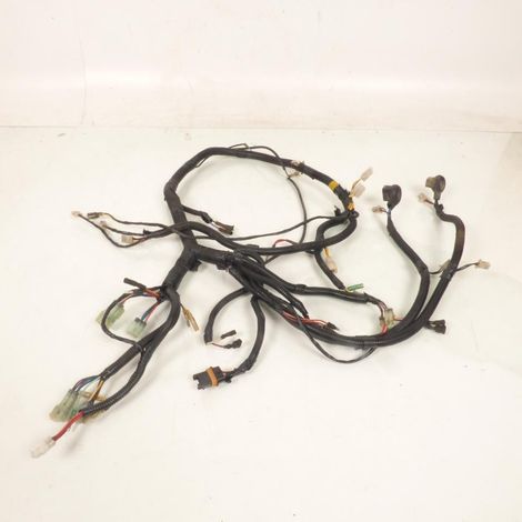 [PRODUIT D'OCCASION] Faisceau électrique origine pour Quad Bombardier 200 Rally 4X2 (1/4)