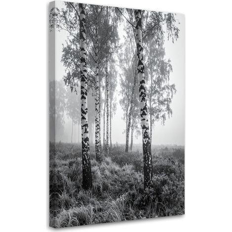 Bild auf Leinwand Birkenwald Nebel Schwarz-Weiß-Landschaft 20x30 (1/5)