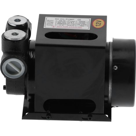 Pompe à carburant électrique auto-amorçante 12V DC pour transfert de diesel, moteur à courant continu, dispositif de pompage pour véhicule et transport. (1/5)