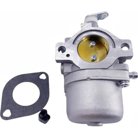 Carbu Carburateur Carburateur 799728 498027 499161 498231 494502 LMT 5-4993 Moteur De Tracteur Tondeuse À Gazon 734463213805DN Carburateur débroussailleuse (1/5)
