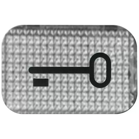 Busch-Jaeger Tastersymbol Schlüssel 2145 TR (1/2)