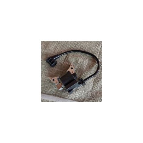 Bobine d'allumage haute tension S et allumeur (stator) compatibles avec Tanaka SUM328. (1/2)
