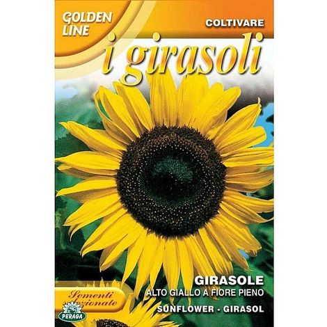 Sementi di Girasole alto giallo a fiore pieno giardino fiori semi seeds