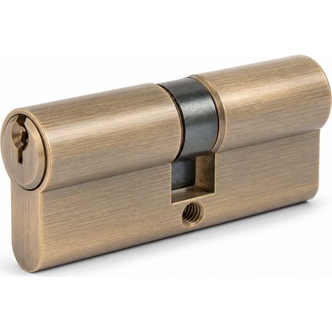 Cylindre de Serrure Double Entrée Laiton 110 mm pour Porte (1/5)