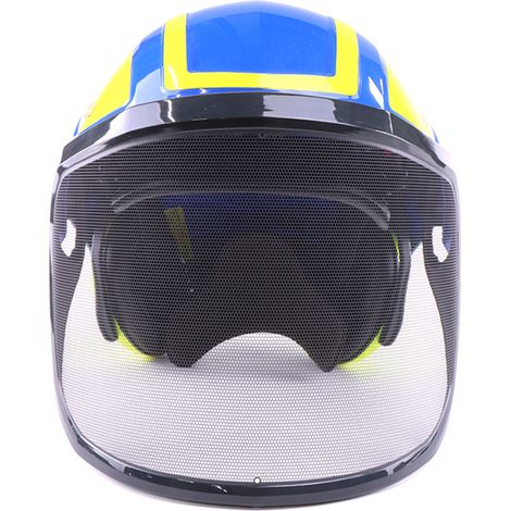Protos Forsthelm / Schutzhelm mit Gehörschutz und Visier Integral Forest Blau/Gelb Blau/Gelb mit Ätzmetallvisier F39