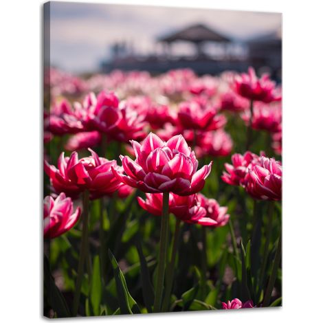 Leinwanddruck Botanik Tulpen Blumen 30x40 cm Blumenstrauß