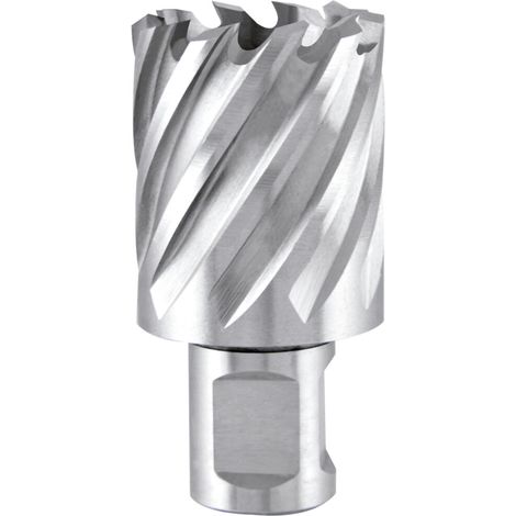 Kernbohrer Nenn-Ø 12 mm HSS Schnitttiefe 30 mm Weldon (1/5)
