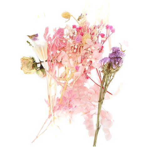 Bouquet de fleurs séchées multicolores parfumées, matériel créatif pour compositions florales, accessoires artisanaux, décoration DIY. (1/5)