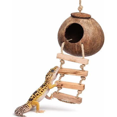Kokosnussschalenhütte avec Leiter, Reptilien Versteck Höhle pour Aufhängen (1/5)